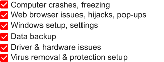 Web browser issues, hijacks, pop-ups Computer crashes, freezing Driver & hardware issues Data backup Windows setup, settings Virus removal & protection setup